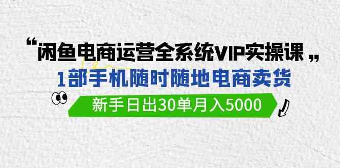 （9547期）闲鱼电商运营全系统VIP实战课，1部手机随时随地卖货，新手日出30单月入5000-乐优网创