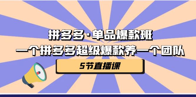 拼多多·单品爆款班，一个拼多多超级爆款养一个团队（5节直播课）-乐优网创