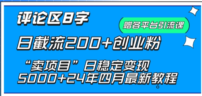 抖音评论区8字日截流200+创业粉 “卖项目”日稳定变现5000+-乐优网创