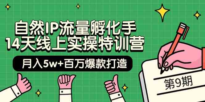 自然IP流量孵化手14天线上实操特训营【第9期】月入5w+百万爆款打造 (74节)-乐优网创