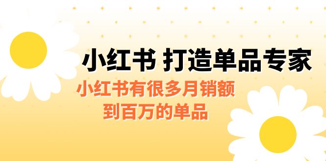 某公众号付费文章《小红书 打造单品专家》小红书有很多月销额到百万的单品-乐优网创