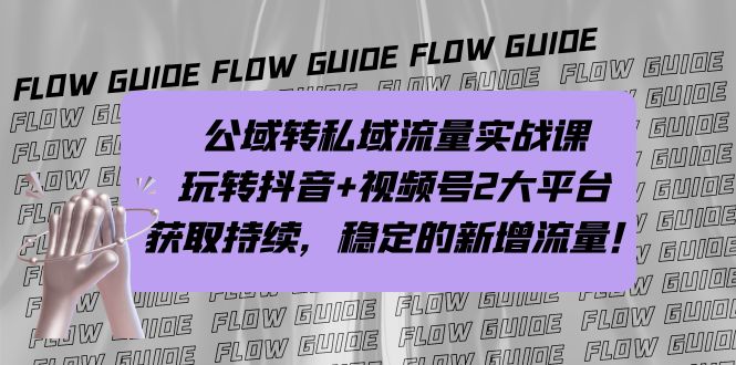 公域转私域流量实战课，玩转抖音+视频号2大平台，获取持续，稳定的新增流量-乐优网创