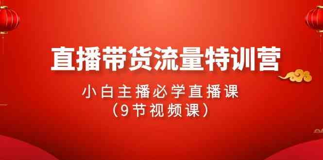 （9592期）2024直播带货流量特训营，小白主播必学直播课（9节视频课）-乐优网创