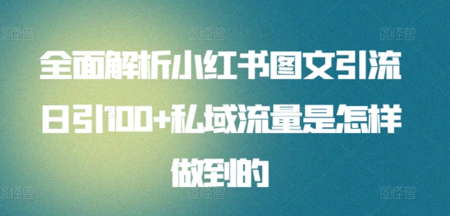 全面解析小红书图文引流日引100+私域流量是怎样做到的-乐优网创