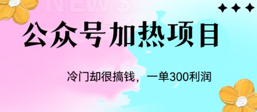 冷门公众号加热项目，一单利润300+-乐优网创