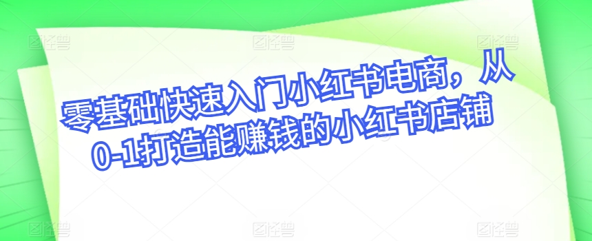 零基础快速入门小红书电商，从0-1打造能赚钱的小红书店铺-乐优网创