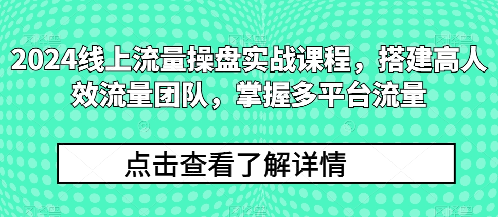 2024线上流量操盘实战课程，搭建高人效流量团队，掌握多平台流量-乐优网创