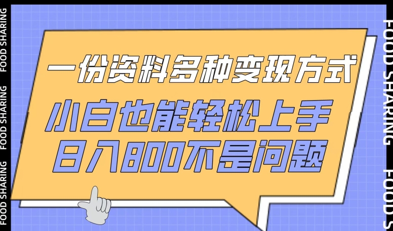 一份资料多种变现方式，小白也能轻松上手，日入800不是问题-乐优网创