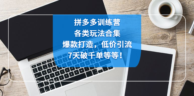 拼多多训练营：各玩法合集，爆款打造，低价引流，7天破千单等等！-乐优网创