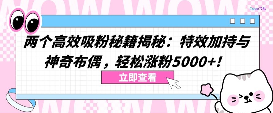 两个高效吸粉秘籍揭秘：特效加持与神奇布偶，轻松涨粉5000+-乐优网创