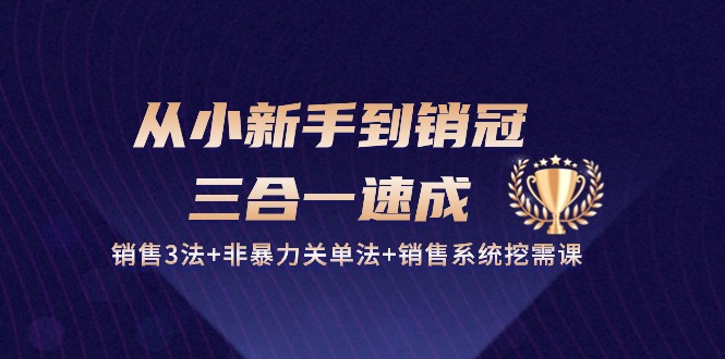 （10799期）从小新手到销冠 三合一速成：销售3法+非暴力关单法+销售系统挖需课 (27节)-乐优网创