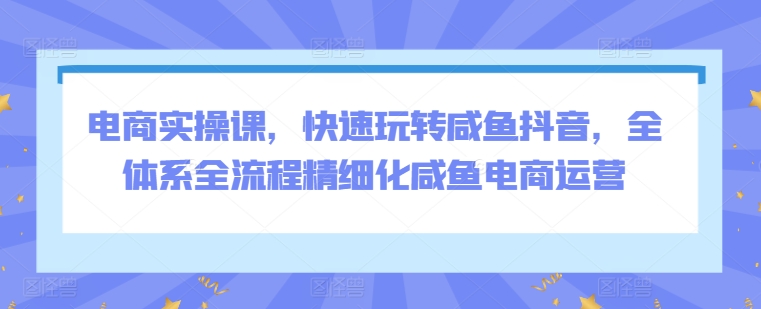 电商实操课，快速玩转咸鱼抖音，全体系全流程精细化咸鱼电商运营-乐优网创