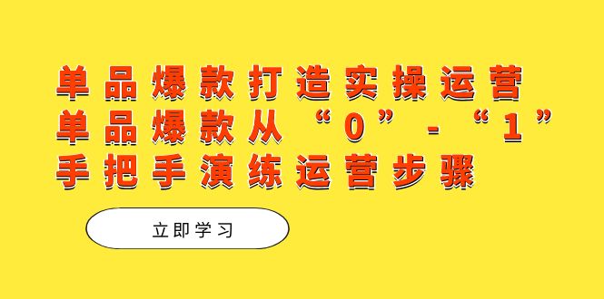 单品爆款打造实操运营，单品爆款从“0”-“1”手把手演练运营步骤-乐优网创