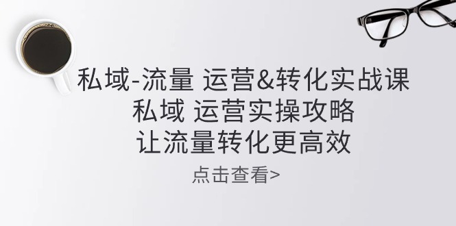 （10739期）私域-流量 运营&转化实操课：私域 运营实操攻略 让流量转化更高效-乐优网创