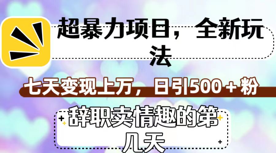 超暴利项目，全新玩法（辞职卖情趣的第几天），七天变现上万，日引500+粉-乐优网创