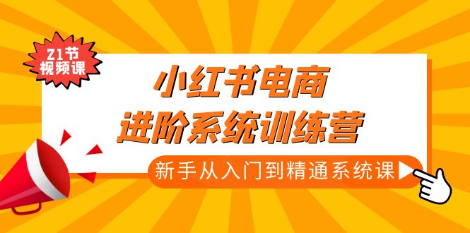 小红书电商进阶系统训练营：新手从入门到精通系统课（21节视频课）-乐优网创