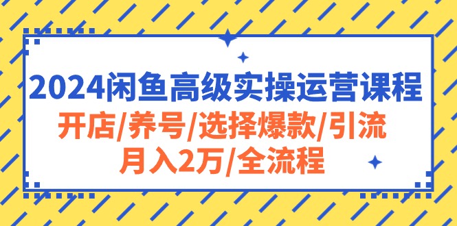 （10711期）2024闲鱼高级实操运营课程：开店/养号/选择爆款/引流/月入2万/全流程-乐优网创