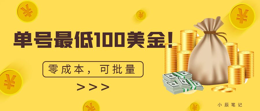 单号最低100美金，零成本，小白无脑操作。可复制，可扩大。-乐优网创