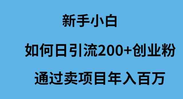 （9668期）新手小白如何日引流200+创业粉通过卖项目年入百万-乐优网创