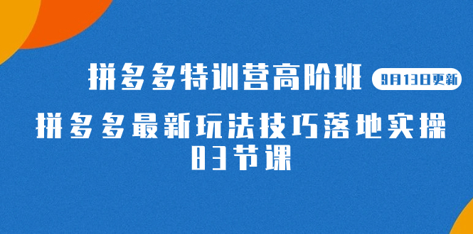 2023拼多多·特训营高阶班【9月19日更新】拼多多最新玩法技巧落地实操-83节-乐优网创