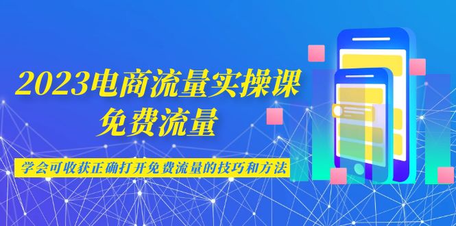 2023电商流量实操课-免费流量，学会可收获正确打开免费流量的技巧和方法-乐优网创