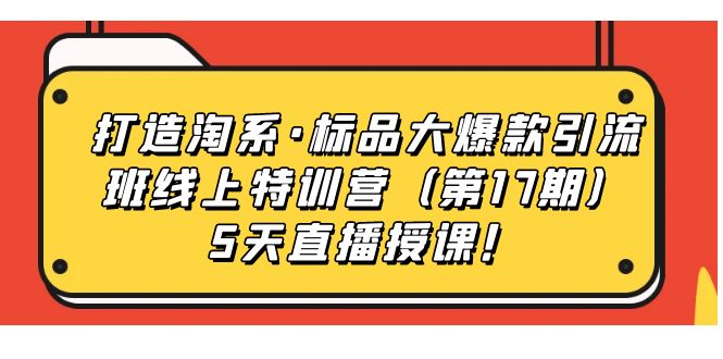 打造淘系·标品大爆款引流班线上特训营（第17期）5天直播授课！-乐优网创