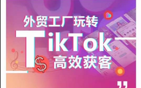 外贸工厂玩转TikTok高效获客，多种引流方式与账号定位技巧，拆解爆款短视频打造成功案例-乐优网创