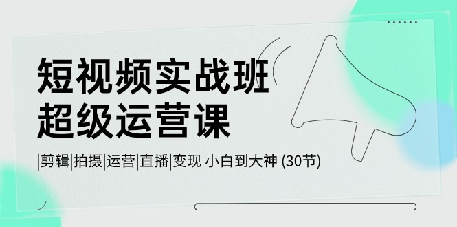 （10836期）短视频实战班-超级运营课，|剪辑|拍摄|运营|直播|变现 小白到大神 (30节)-乐优网创