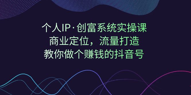 个人IP·创富系统实操课：商业定位，流量打造，教你做个赚钱的抖音号-乐优网创