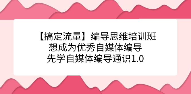 【搞定流量】编导思维培训班，想成为优秀自媒体编导先学自媒体编导通识1.0-乐优网创