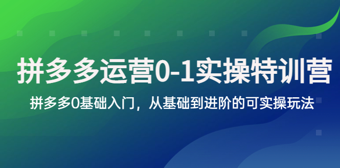 （5747期）拼多多-运营0-1实操训练营，拼多多0基础入门，从基础到进阶的可实操玩法-乐优网创