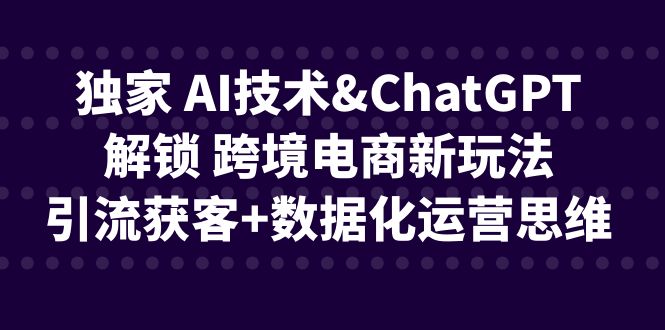 （6599期）独家 AI技术&ChatGPT解锁 跨境电商新玩法，引流获客+数据化运营思维-乐优网创