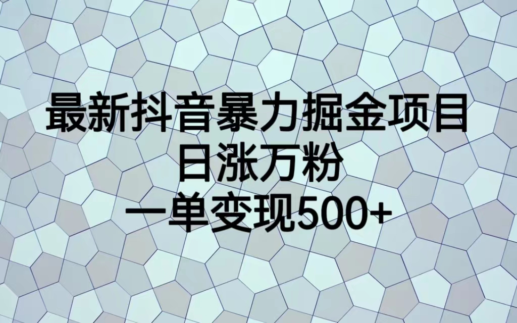 （6642期）最新抖音暴力掘金项目，日涨万粉，一单变现500+-乐优网创