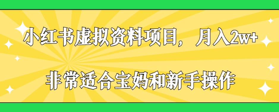 小红书虚拟资料项目，月入2w+，非常适合宝妈和新手操作【揭秘】-乐优网创