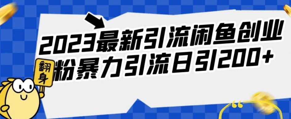 2023最新引流闲鱼创业粉暴力引流日引200+【揭秘】-乐优网创