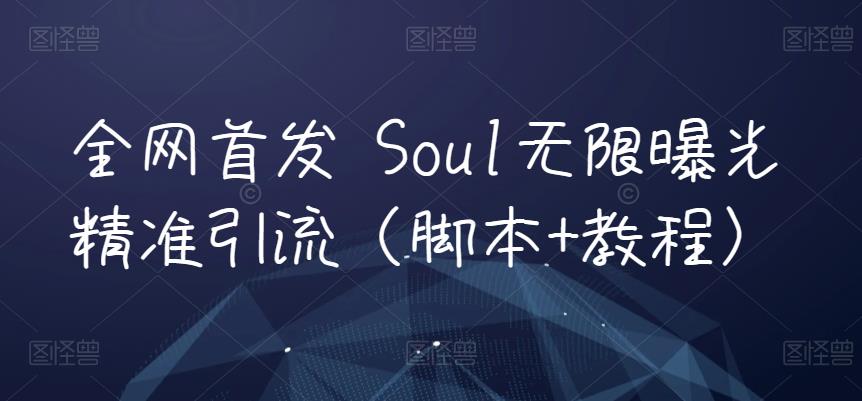 全网首发 Soul无限曝光精准引流（脚本+教程）-乐优网创