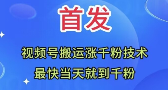 全网首发：视频号无脑搬运涨千粉技术，最快当天到千粉【揭秘】-乐优网创