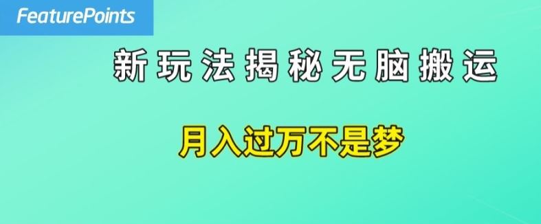 简单操作，每天50美元收入，搬运就是赚钱的秘诀【揭秘】-乐优网创