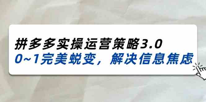 2024-2025拼多多实操运营策略3.0，0~1完美蜕变，解决信息焦虑（38节）-乐优网创