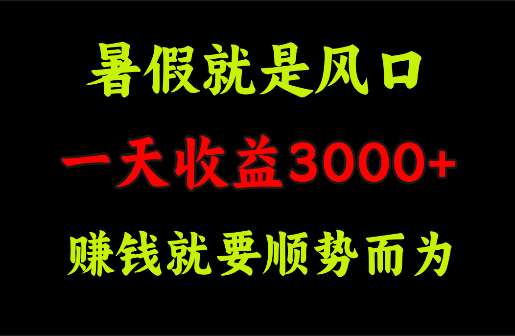 （11670期）一天收益3000+ 赚钱就是顺势而为，暑假就是风口-乐优网创