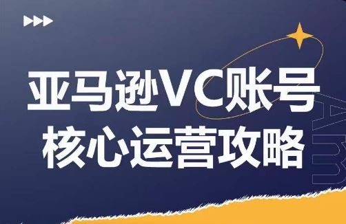 亚马逊VC账号核心玩法解析，实战经验拆解产品模块运营技巧，提升店铺GMV，有效提升运营利润-乐优网创