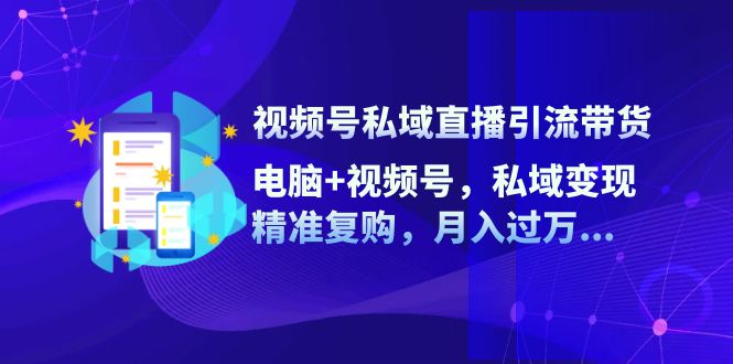 （12249期）视频号私域直播引流带货：电脑+视频号，私域变现，精准复购，月入过万…-乐优网创