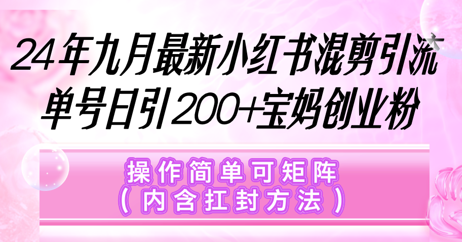 （12530期）小红书混剪引流，单号日引200+宝妈创业粉，操作简单可矩阵（内含扛封…-乐优网创