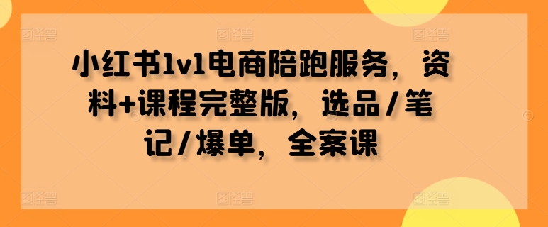 小红书1v1电商陪跑服务，资料+课程完整版，选品/笔记/爆单，全案课-乐优网创