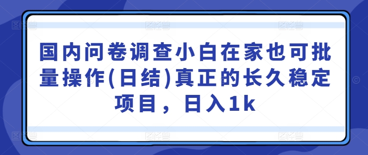 国内问卷调查小白在家也可批量操作(日结)真正的长久稳定项目，日入1k【揭秘】-乐优网创