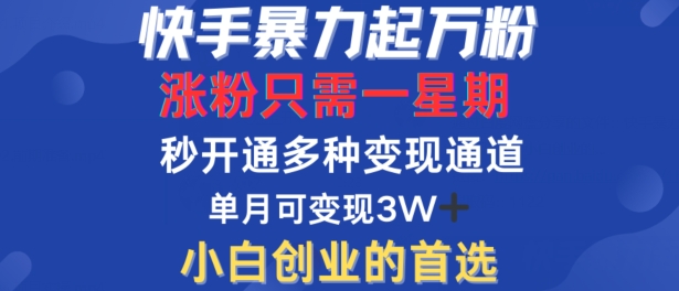 快手暴力起万粉，涨粉只需一星期，多种变现模式，直接秒开万合，单月变现过W【揭秘】-乐优网创