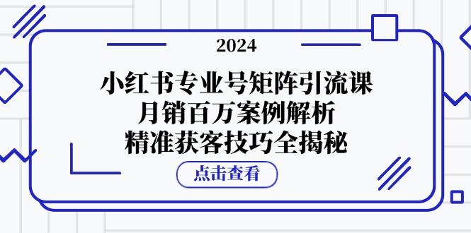 小红书专业号矩阵引流课，月销百万案例解析，精准获客技巧全揭秘-乐优网创