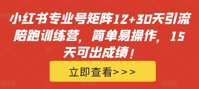 小红书专业号矩阵12+30天引流陪跑训练营，简单易操作，15天可出成绩!-乐优网创