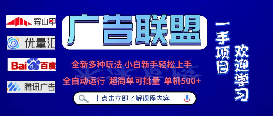 （13258期）广告联盟 全新多种玩法 单机500+  全自动运行  可批量运行-乐优网创