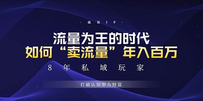 （13433期）未来如何通过“卖流量”年入百万，跨越一切周期绝对蓝海项目-乐优网创